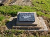 image of grave number 455231